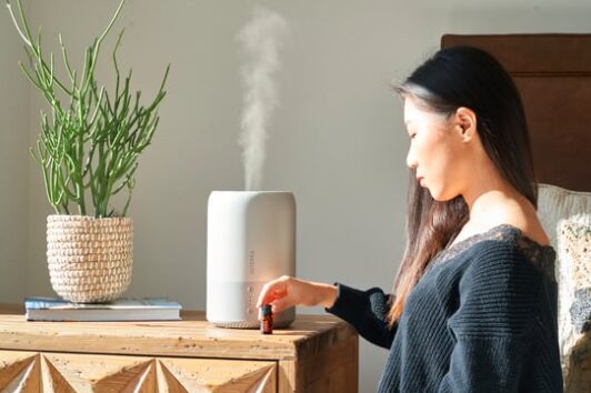 humidifier humidifier